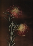 AB11