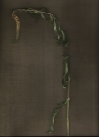 AB9