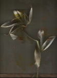 Untitled 22