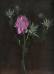 AB29