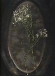 untitled 9