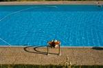 Untitled 4