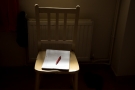 Pen